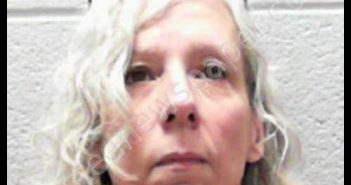 JENKINS, ELIZABETH LADY BIRD | 2017-04-02 05:20:00 Harrison County, West Virginia Booking