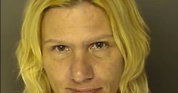 <B>LEE</B>, <B>ANGELA</B> <B>MARIE</B> #, Horry County, South Carolina - 2017-04-03 04:03:00