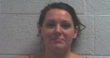 BRIANNA POWERS | 2017-04-03 20:03:00 Jackson County, North Carolina Booking