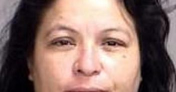 LILLIE FLORES | 2017-04-04 Brazos County, Texas Booking