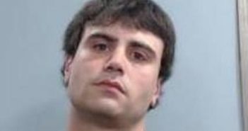 ADDISON HORSLEY | 2017-04-04 20:41:00 Fayette County, Kentucky Booking