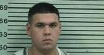 JOE REYES | 2017-04-10 13:54:00 Hood County, Texas Booking