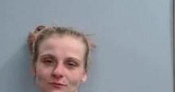 LINDSEY LAWRENCE | 2017-04-10 22:55:00 Fayette County, Kentucky Booking