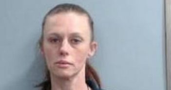VIRGINIA PERKINS | 2017-04-10 20:41:00 Fayette County, Kentucky Booking