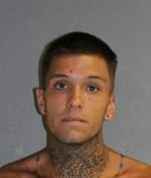 NICHOLAS HALSEY #, Volusia County, Florida - 2017-04-11 03:08:00