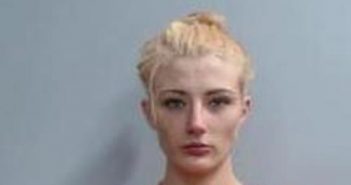 PRESLEY COOK | 2017-04-12 13:00:00 Fayette County, Kentucky Booking