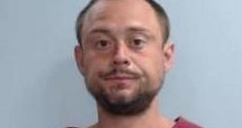 WAYNE MOSS | 2017-04-12 09:35:00 Fayette County, Kentucky Booking