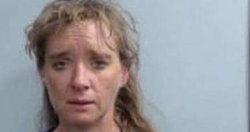 HEIDI WILLIAMS | 2017-04-13 22:44:00 Fayette County, Kentucky Booking