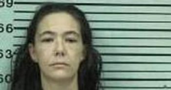 DANIELLE NILAN | 2017-04-13 22:17:00 Hood County, Texas Booking