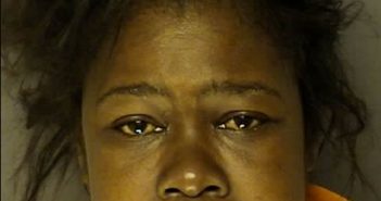 <B>GREEN</B>, <B>STEPHANIE</B> <B>ELIZABETH</B> #, Horry County, South Carolina - 2017-04-12 23:29:00