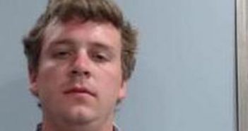 LOSSON BROTZE | 2017-04-14 20:46:00 Fayette County, Kentucky Booking