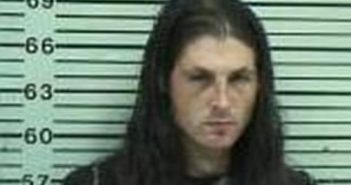 JUSTIN TRAMMELL | 2017-04-14 01:13:00 Hood County, Texas Booking