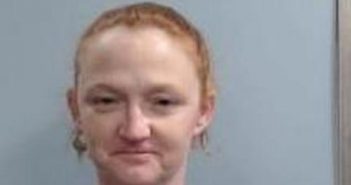 MISTY VEST | 2017-04-14 16:32:00 Fayette County, Kentucky Booking