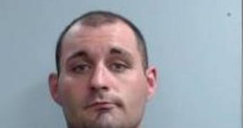 CHRISTOS GRYSPOS | 2017-04-14 18:11:00 Fayette County, Kentucky Booking