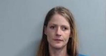 MELISSA YOUNG | 2017-04-18 14:18:00 Fayette County, Kentucky Booking