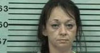 BRANDY MEEK | 2017-04-18 13:11:00 Hood County, Texas Booking