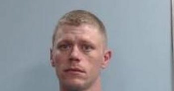 BRIAN DAVIS | 2017-04-18 15:28:00 Fayette County, Kentucky Booking