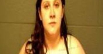 MEA BORGES | 2017-04-18 22:32:00 Delaware County, New York Booking
