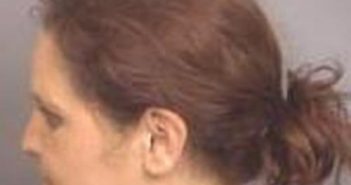 ELIZABETH RABORN | 2017-04-20 11:03:00 Jefferson County, Alabama Booking