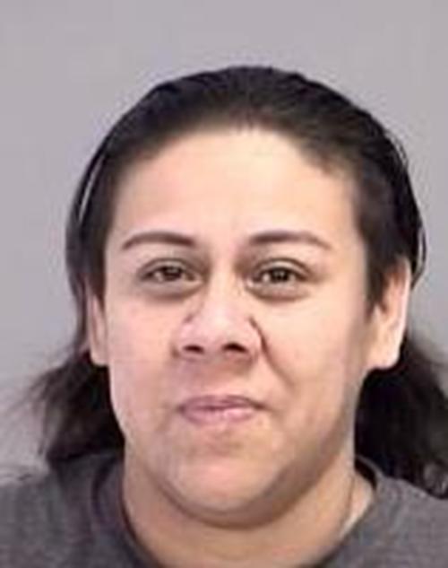 JENNIFER RUEDA #, Brazos County, Texas - 2017-04-20