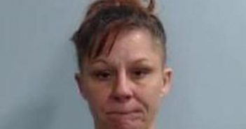 MARY ELLIS | 2017-04-21 11:05:00 Fayette County, Kentucky Booking