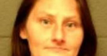 JESSICA BOLSTER | 2017-04-22 17:13:00 Delaware County, New York Booking