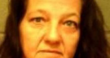 SUANN MALER | 2017-04-22 18:33:00 Delaware County, New York Booking