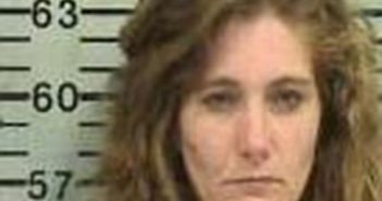 MELISSA BASHAM | 2017-04-25 07:11:00 Hood County, Texas Booking