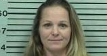 TRISHA GOODEN | 2017-04-25 12:39:00 Hood County, Texas Booking