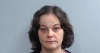 HEATHER CAMPBELL | 2017-04-27 12:58:00 Fayette County, Kentucky Booking