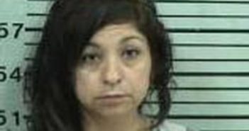 TAMMIE RAMOS | 2017-04-27 12:25:00 Hood County, Texas Booking