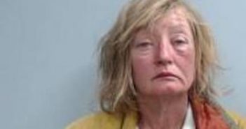 DONNA JOHNSON | 2017-04-28 04:43:00 Fayette County, Kentucky Booking