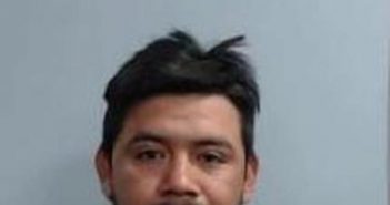 PEDRO FLORES | 2017-04-29 01:17:00 Fayette County, Kentucky Booking