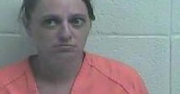 MISTY PARKER | 2017-04-29 19:03:00 Jessamine County, Kentucky Booking