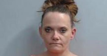 MISTY PENNINGTON | 2017-05-01 04:23:00 Fayette County, Kentucky Booking