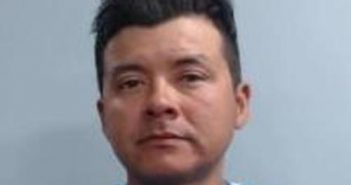TOMAS AYALA-GOMEZ | 2017-05-01 02:47:00 Fayette County, Kentucky Booking