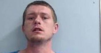 JESSIE JORDAN | 2017-05-04 16:53:00 Fayette County, Kentucky Booking