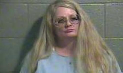 KIMBERLY JOHNSON #, Barren County, Kentucky - 2017-05-06 21:38:00