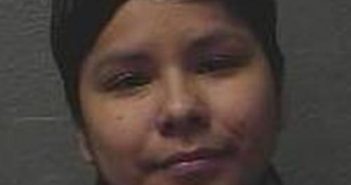 SASHEENA LEWIS | 2017-05-09 12:03:00 Benewah County, Idaho Booking