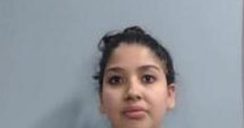 YENNIFER MENDOZA-PINEDA | 2017-05-11 13:38:00 Fayette County, Kentucky Booking