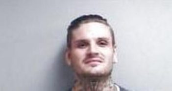 THOMAS SOUTHWORTH | 2017-05-13 13:05:00 Page County, Virginia Booking