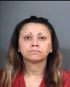 MARIA DELORE GOCHENOUR | 2017-05-16 14:48:00 St. Joseph County, Indiana Booking