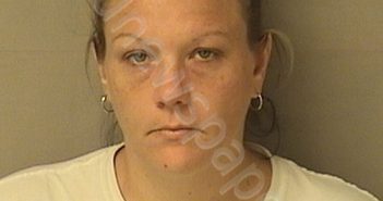 WEAVER, ASHLEY BROOKE | 2017-05-17 16:00:00 Wood County, West Virginia Booking