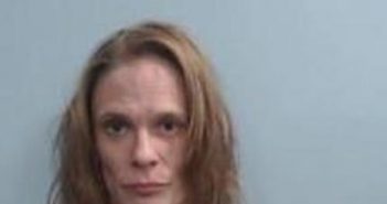 KATRINA COOK | 2017-05-17 00:41:00 Fayette County, Kentucky Booking