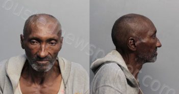 DIAZ, LUIS | 2017-05-20 22:07:00 Miami-Dade County, Florida Booking