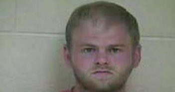 KYLE WALLACE | 2017-05-24 19:59:00 Taylor County, Kentucky Booking