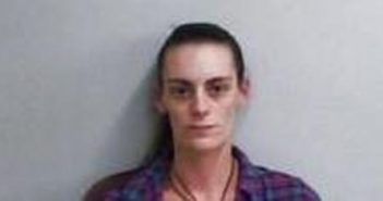 TORI SEAL | 2017-05-27 02:02:00 Page County, Virginia Booking