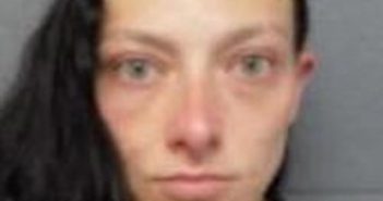 HEATHER SOBEY | 2017-05-28 15:39:00 Delaware County, New York Booking
