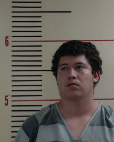 RODRIGUEZ, ROBERTO #, Parker County, Texas - 2017-05-28