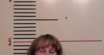 WILLIAMS, BONNIE DAWN | 2017-05-28 Parker County, Texas Booking